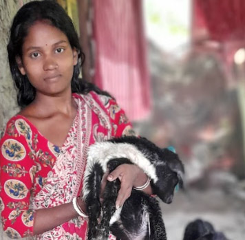 Hold that Turkey and Stuffing! An Impoverished Woman in India Needs 10 Goats!